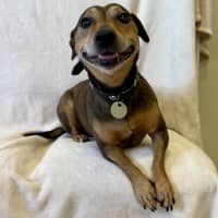 Photo of Roxy