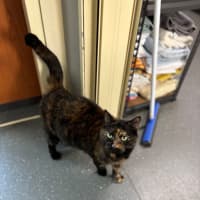 Photo of Little Sister