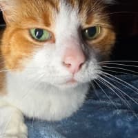 Photo of Charlie 