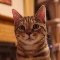 Photo of Mila
