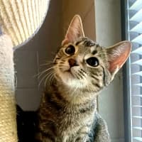 Photo of Smooch