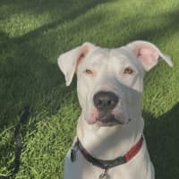 Photo of Wally