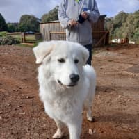 Photo of Jingle