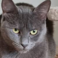 Photo of Sassy