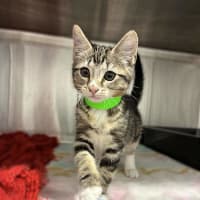 Photo of Winky