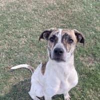 Photo of Diamond