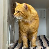 Photo of Gary