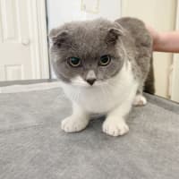 Photo of 🌜Moonshine🌛