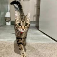 Photo of Luna