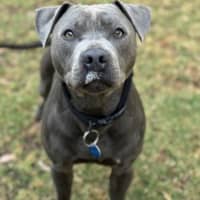 Photo of Hercules