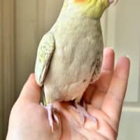 Photo of Earl