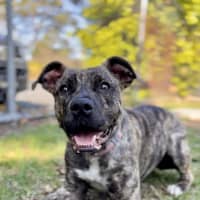 Photo of Tipsy