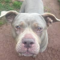 Photo of Storm