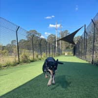 Photo of Harley Imp 1807