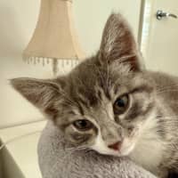 Photo of Bobbi