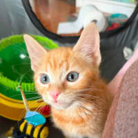 Photo of Fred