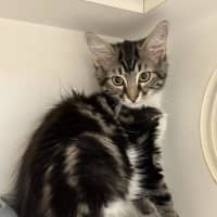 Photo of Timmy