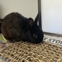 Photo of Bobby