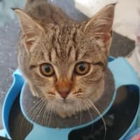 Photo of Mei Mei
