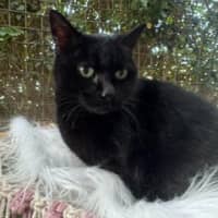 Photo of Molly