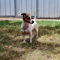 Photo of Coco Newhaven