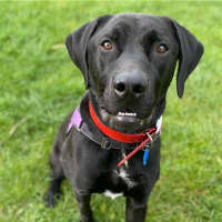 Photo of Bobbi