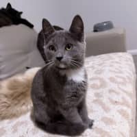 Photo of Arya 🪻💜