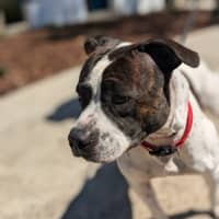 Photo of 🦒 Howard 6446 🦒