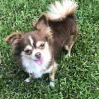 Photo of Bobbie