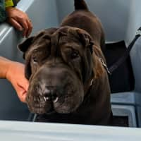 Photo of Molly & Sid