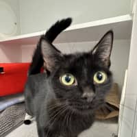 Photo of Tilly