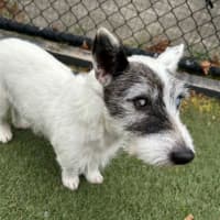 Photo of Walter