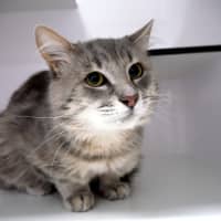 Photo of Bruce Sua013319