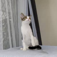 Photo of Macy