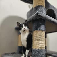 Photo of Apollo