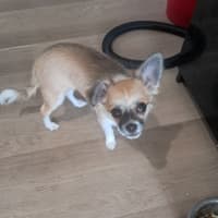 Photo of Sasha
