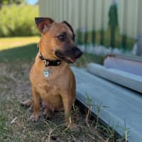 Photo of Maisey