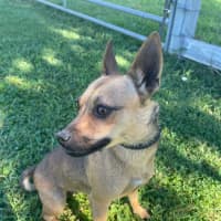 Photo of Tiny
