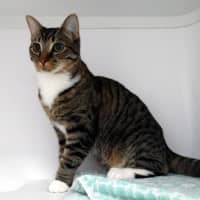 Photo of Matteo Suk014097