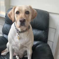 Photo of Hayleywaley