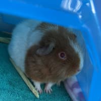 Photo of Colette / Belle