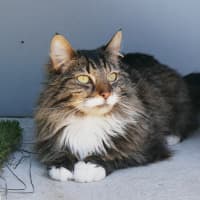 Photo of Milo Sta013954