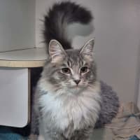 Photo of Pepi