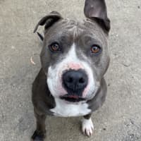 Photo of Tilly