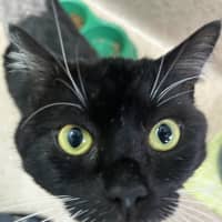 Photo of Simon