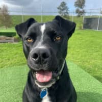 Photo of Storm