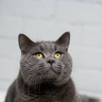 Photo of William