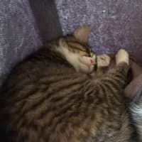 Photo of Bruce