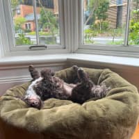 Photo of Bertie Kumara