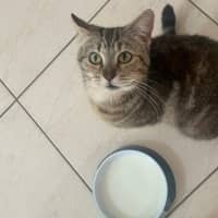 Photo of Angel